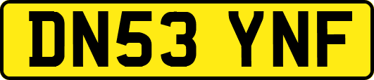 DN53YNF