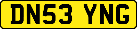 DN53YNG