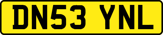 DN53YNL