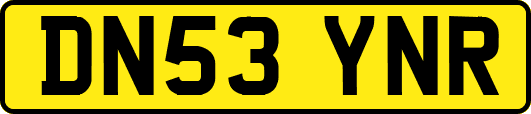 DN53YNR