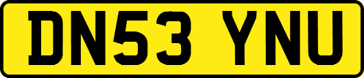 DN53YNU