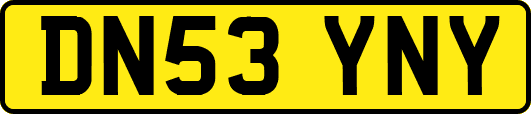 DN53YNY