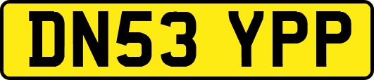 DN53YPP