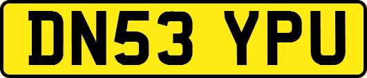 DN53YPU