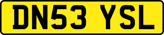 DN53YSL