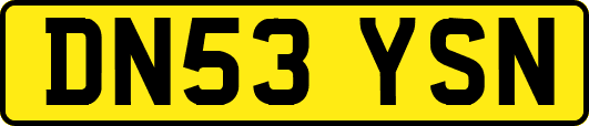 DN53YSN