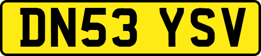 DN53YSV