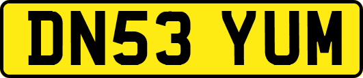 DN53YUM