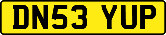 DN53YUP