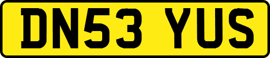 DN53YUS