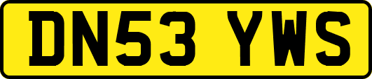 DN53YWS