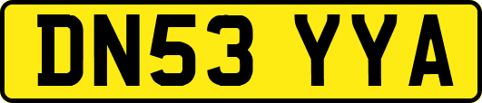 DN53YYA