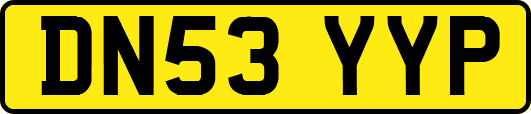 DN53YYP
