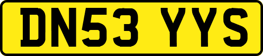 DN53YYS