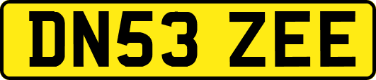 DN53ZEE