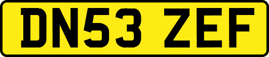 DN53ZEF
