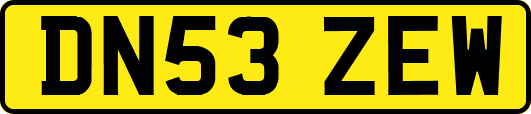 DN53ZEW