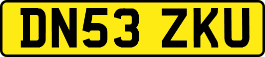 DN53ZKU