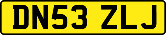DN53ZLJ