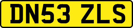 DN53ZLS