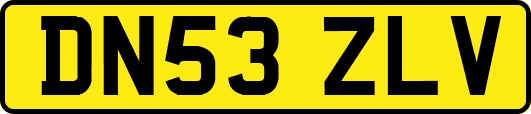 DN53ZLV