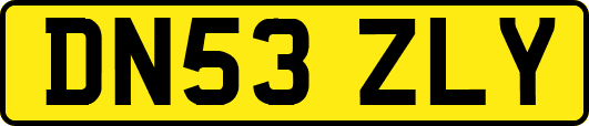 DN53ZLY