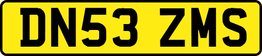DN53ZMS