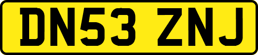 DN53ZNJ