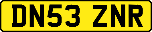 DN53ZNR