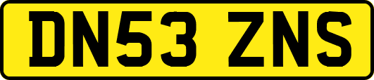 DN53ZNS