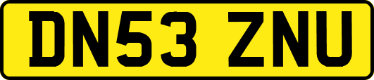 DN53ZNU