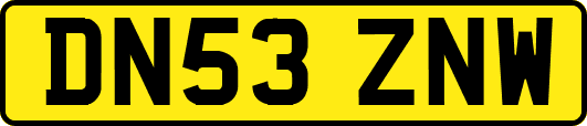 DN53ZNW