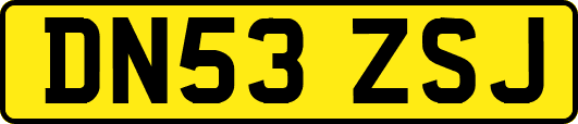 DN53ZSJ