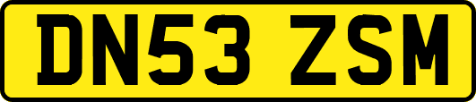 DN53ZSM