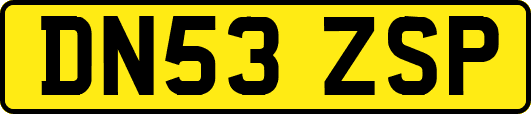 DN53ZSP