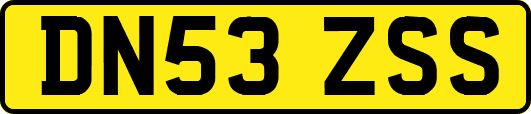 DN53ZSS