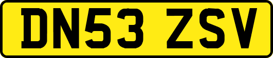DN53ZSV