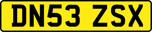 DN53ZSX