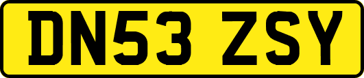 DN53ZSY