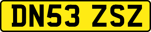 DN53ZSZ