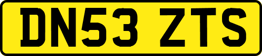 DN53ZTS
