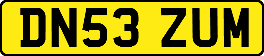 DN53ZUM