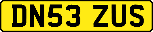 DN53ZUS