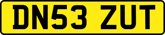 DN53ZUT