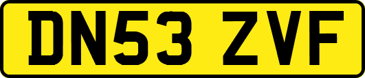 DN53ZVF