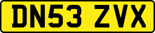 DN53ZVX