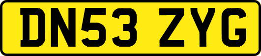 DN53ZYG