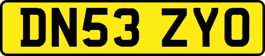 DN53ZYO