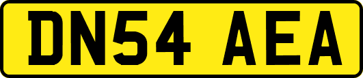 DN54AEA