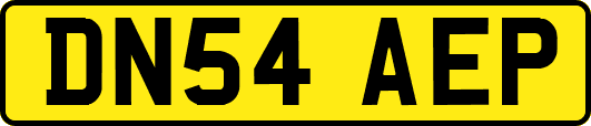 DN54AEP